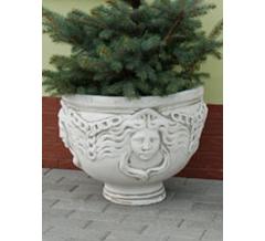 Гаргона